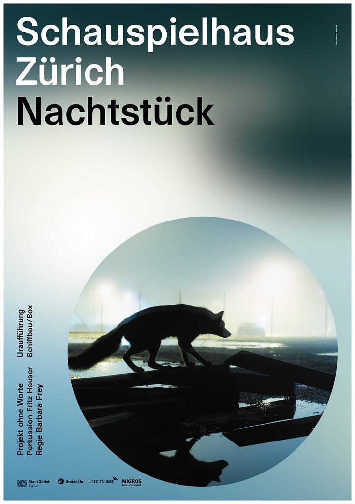 schauspielhaus-zurich-nachtstueck-poster.jpg